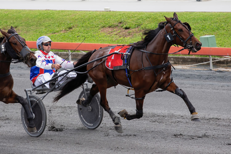 Sheza-Chance.jpeg Sheza-Chance.jpeg