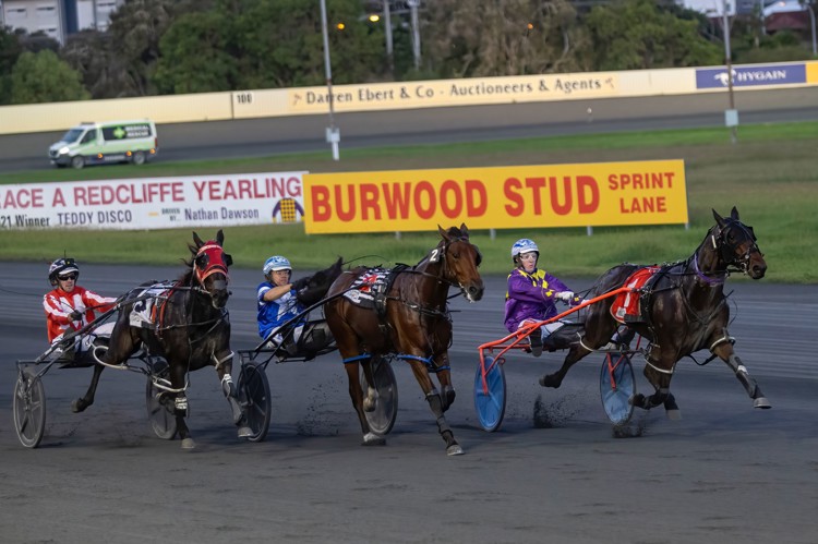 IG8NSY6g.jpeg IG8NSY6g.jpeg