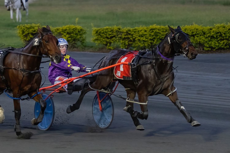 LEQSug8I.jpeg LEQSug8I.jpeg