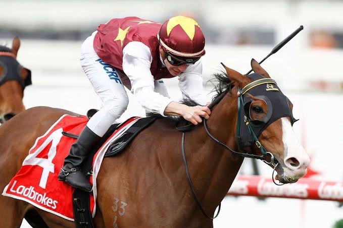 IMG-8208.JPG IMG-8208.JPG