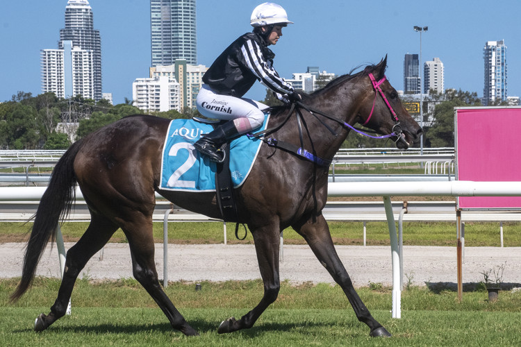 R5-Rubyexpress-Greg-Cornish-Jasmine-Cornish-7.jpg R5-Rubyexpress-Greg-Cornish-Jasmine-Cornish-7.jpg