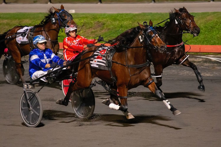 QOb8JzvM.jpeg QOb8JzvM.jpeg