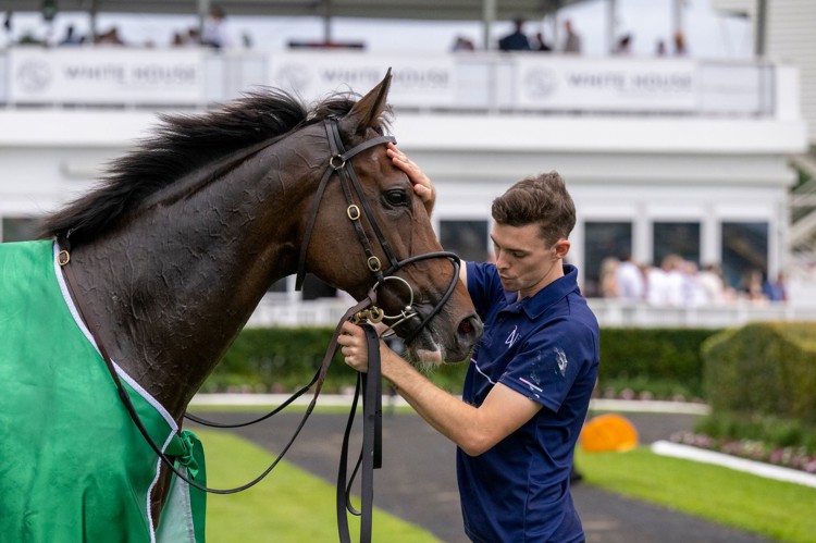 t-iJ77Mg.jpeg t-iJ77Mg.jpeg