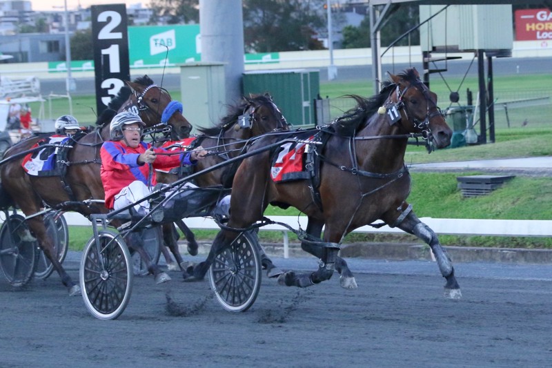 0D4A0042.jpg 0D4A0042.jpg