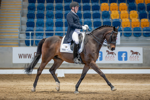 SaddlefitterCDN0921-7373.jpg SaddlefitterCDN0921-7373.jpg