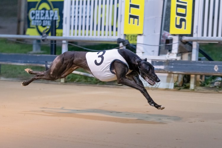 R8-Young-Rob-020922-2.jpg R8-Young-Rob-020922-2.jpg