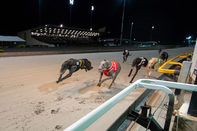 jA28FhU.jpeg jA28FhU.jpeg