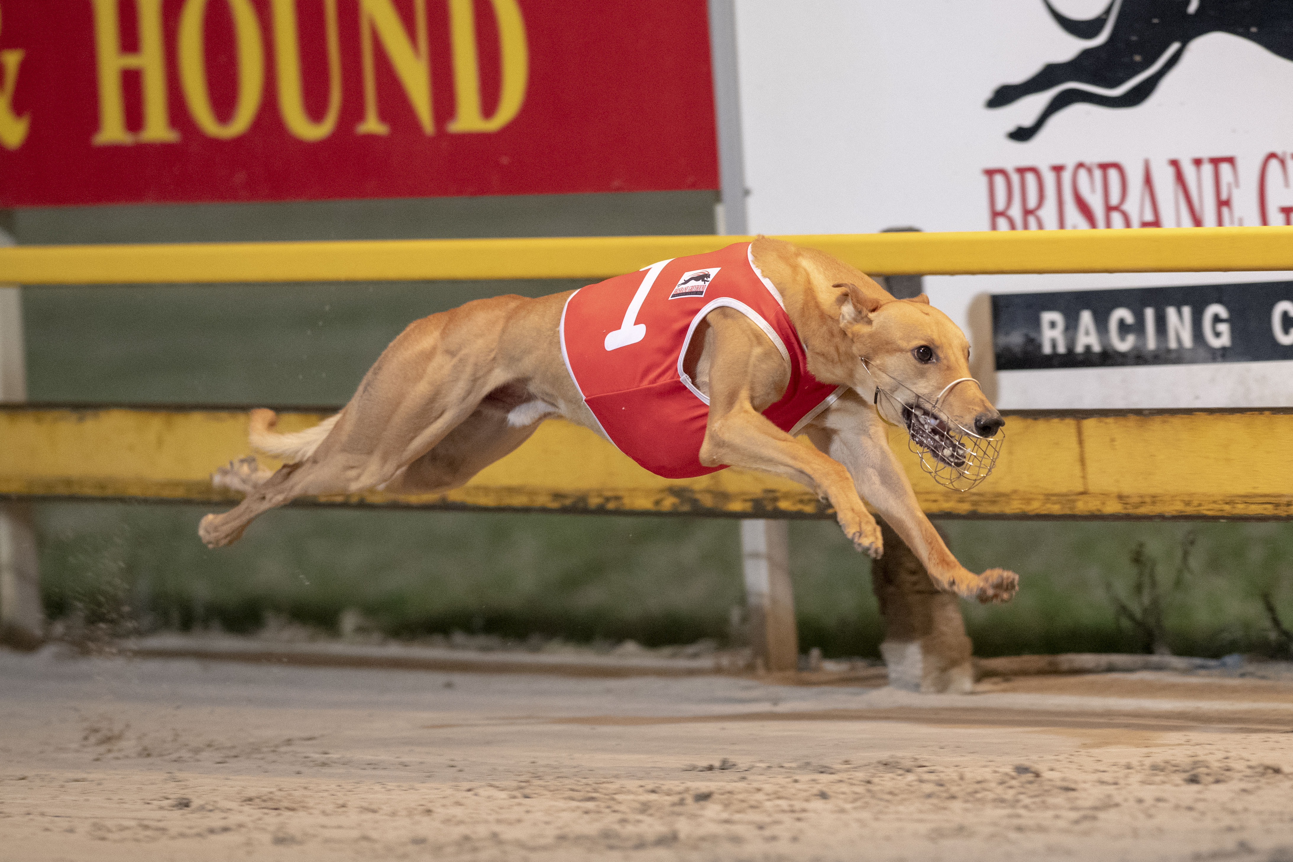 Vince Curry Memorial Maiden Final Racing Queensland