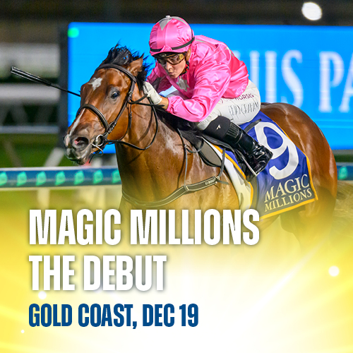 Promotional image for Magic Millions The Debut, Silks Under The Stars, Gold Coast on Friday, December 19, featuring the horse Vein Girl