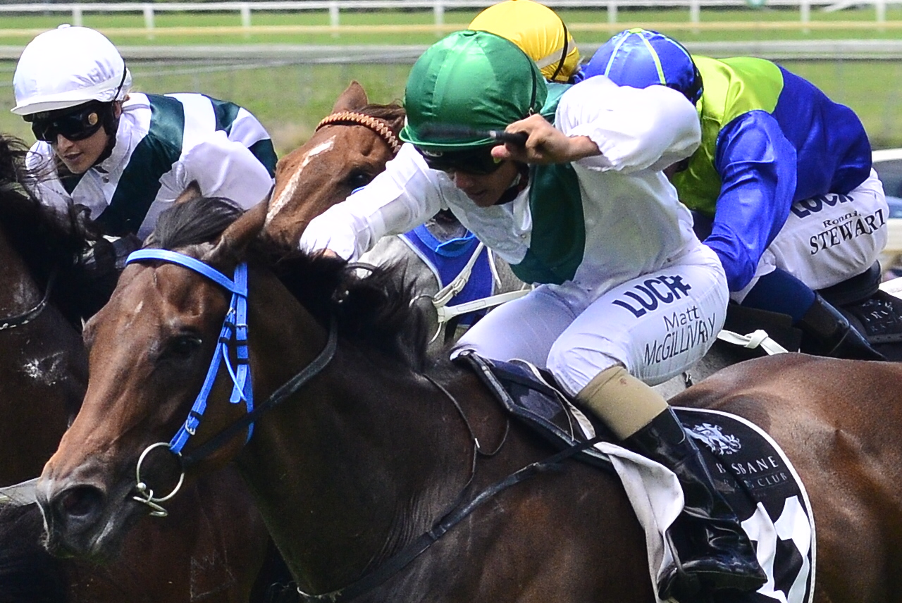 08 August :: Racing Queensland