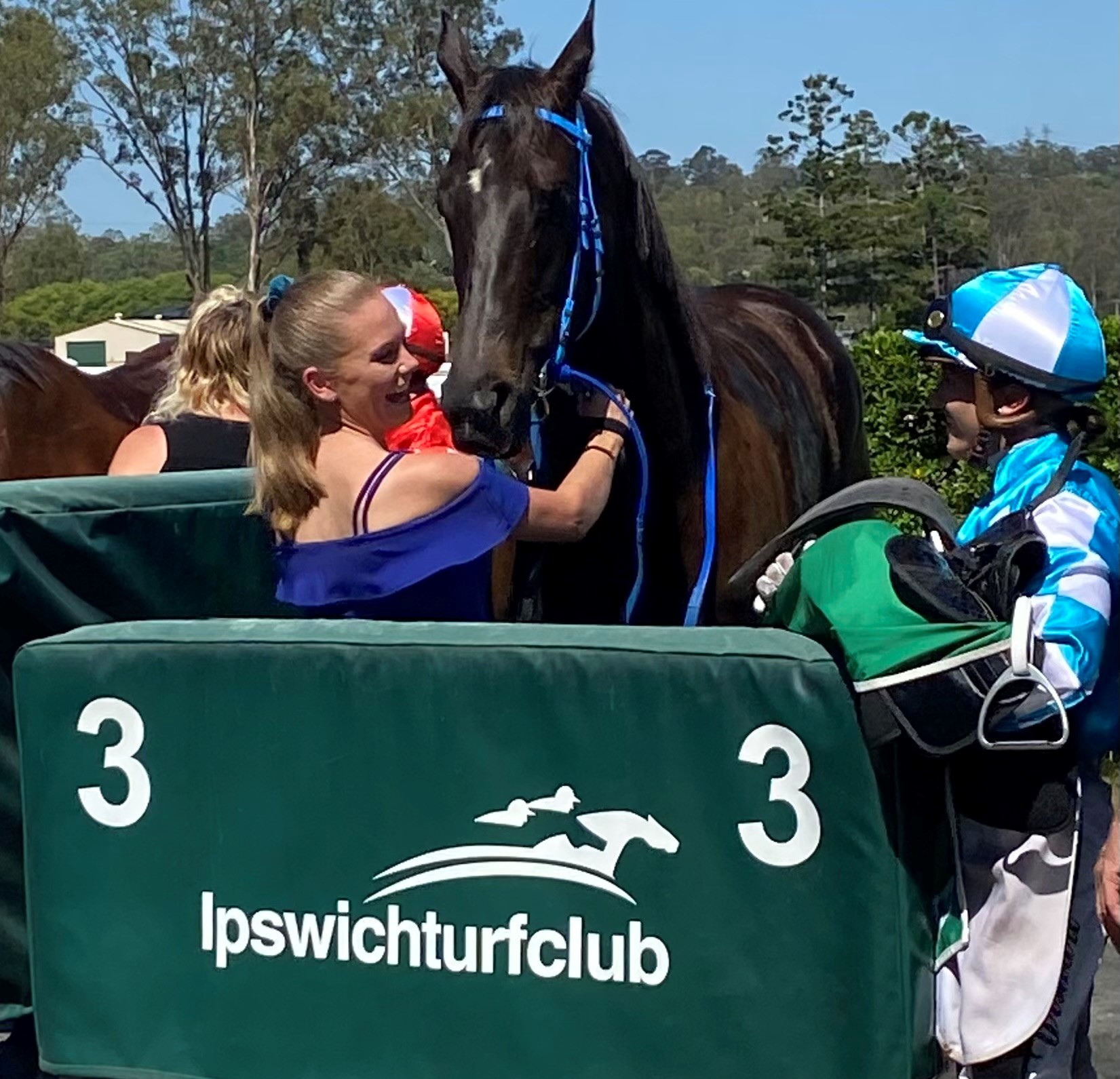 11 November :: Racing Queensland