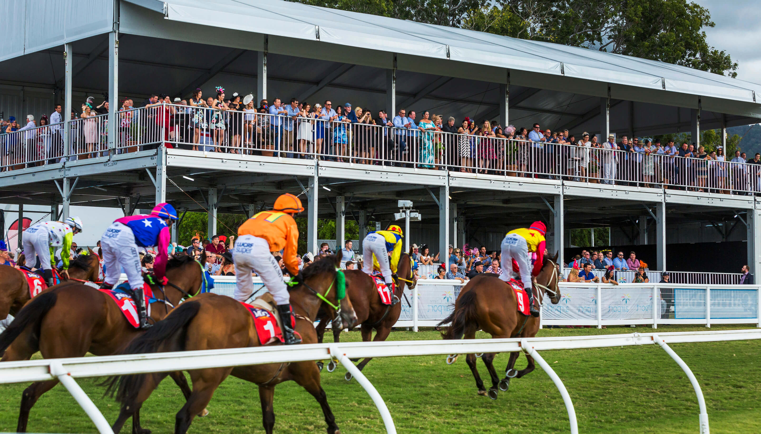 Ownership calculator :: Racing Queensland