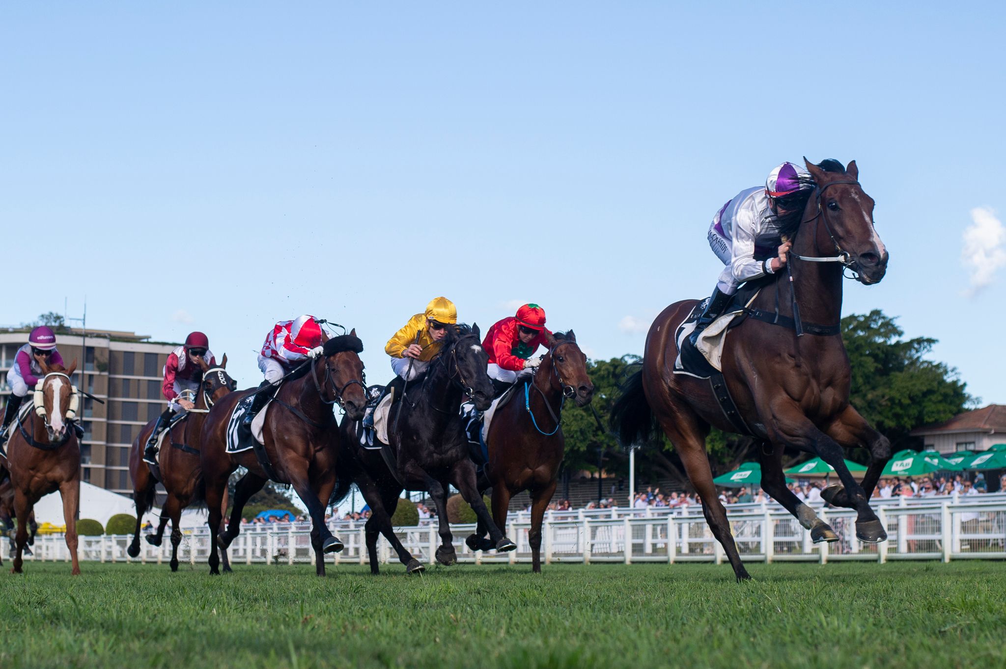 Thoroughbred Racing Queensland