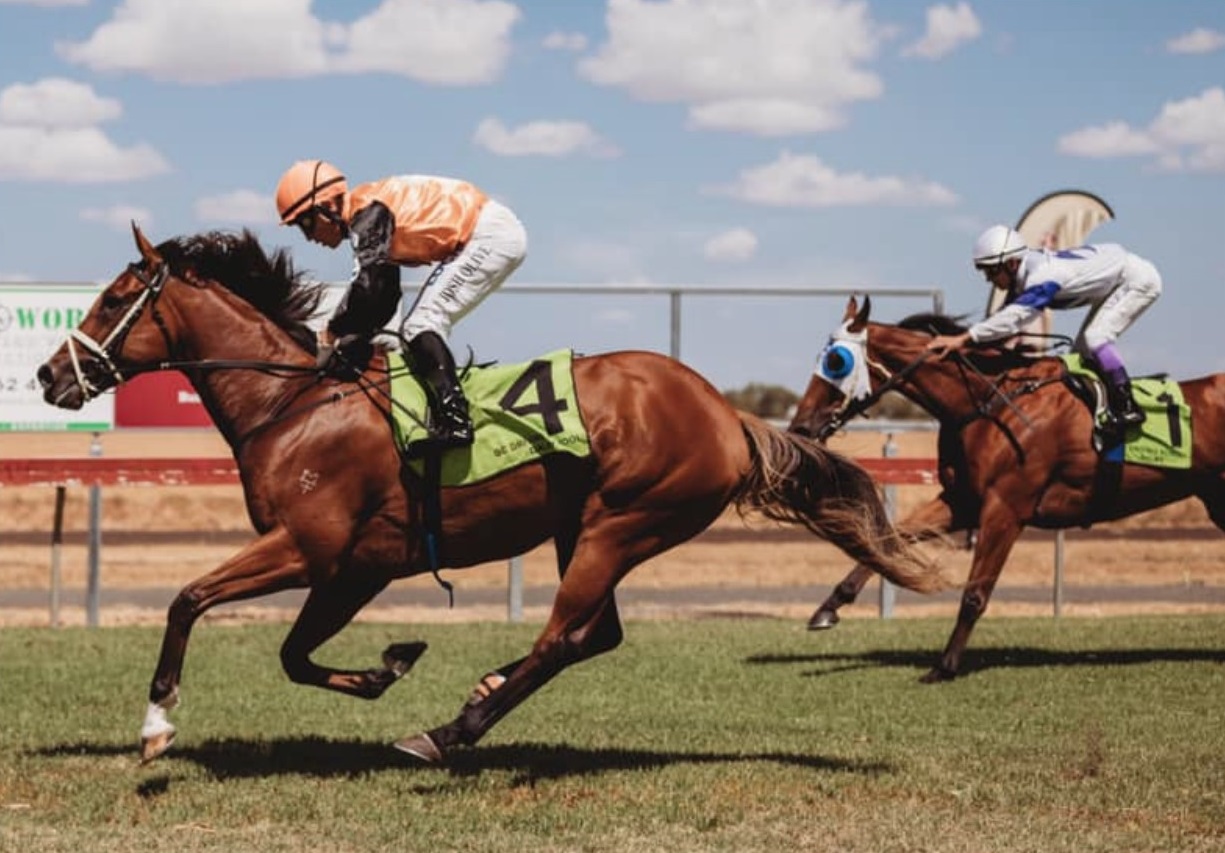 Dalby Newmarket Open Handicap Racing Queensland