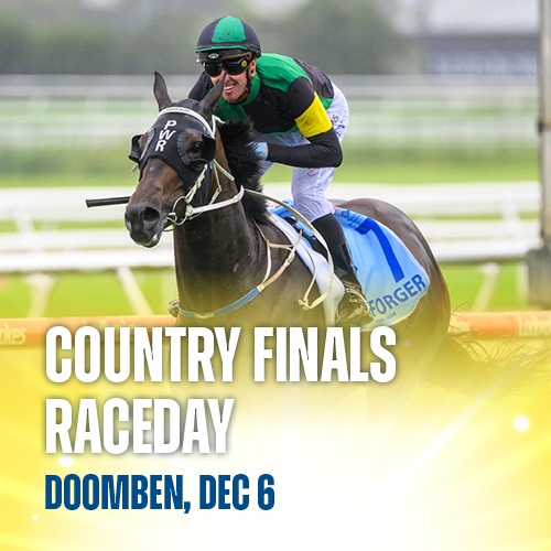 Promotional image for this year’s Country Finals Raceday at Doomben on December 6, featuring last year’s winner Skyforger.