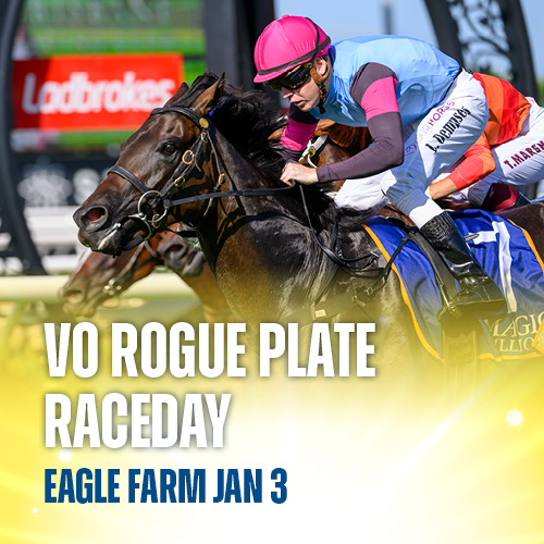 Promotional image for VO Rogue Plate Raceday at Eagle Farm on January 3, featuring the horse Give Me Space
