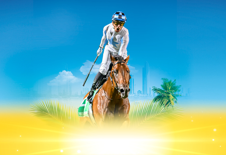 Betnation casino visual