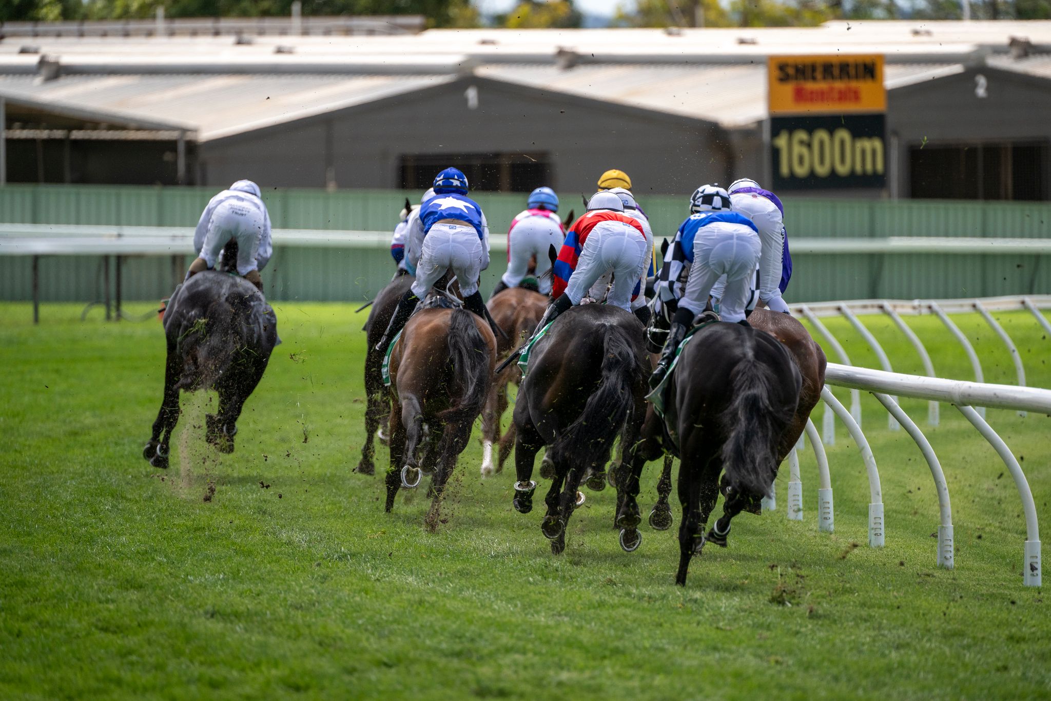 Thoroughbred Racing Queensland