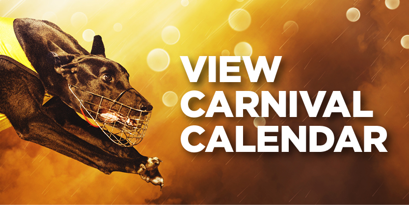 2025/26 GOLDEN GREYS SUMMER CARNIVAL EVENT SCHEDULE