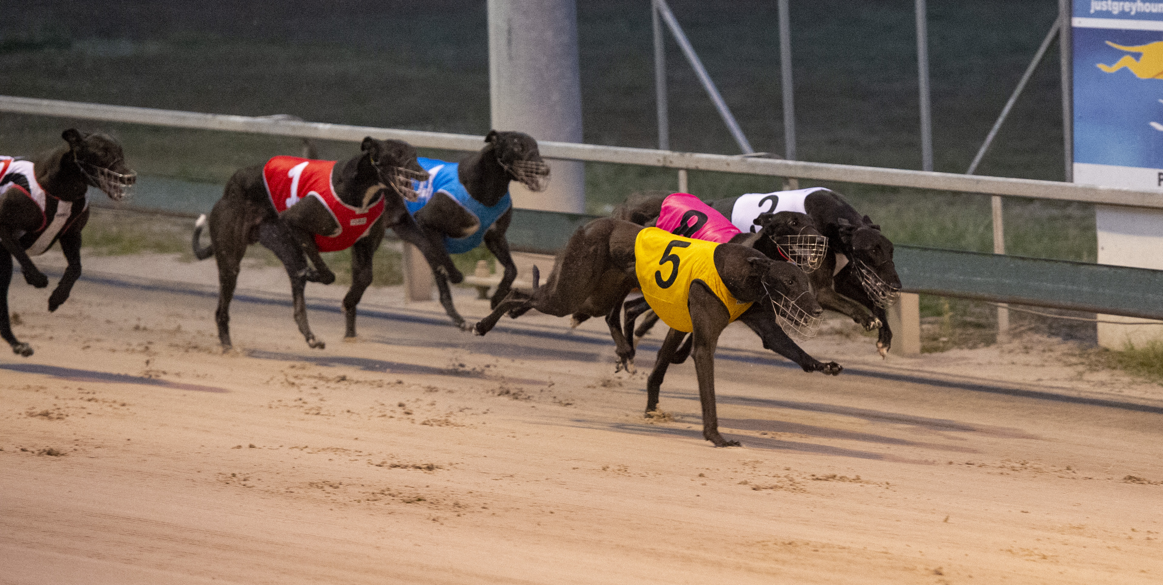 Auction Sprint Final Racing Queensland