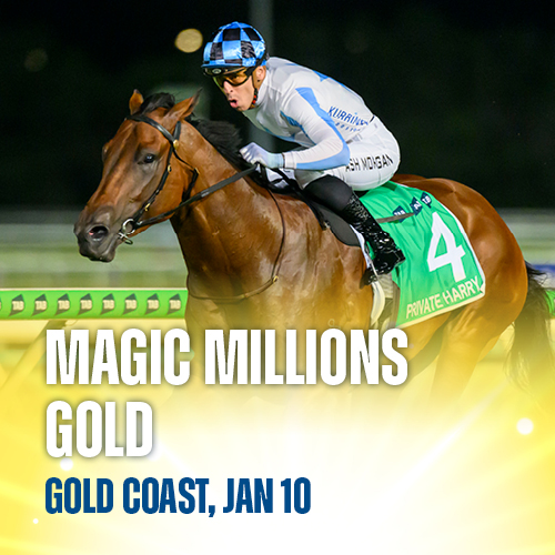 Promotional image for Magic Millions Gold at the Gold Coast on January 10, featuring horse Private Harry