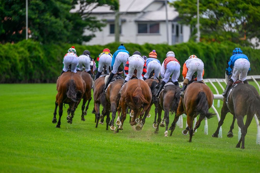Regional Racing Qld Townsville - Tue 13 Feb :: Racing Queensland