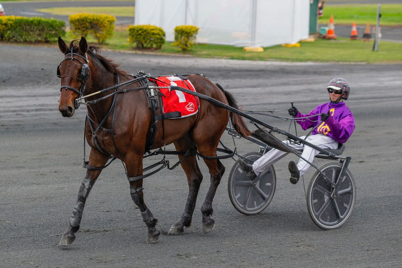Rockhampton - Wed 08 May :: Racing Queensland