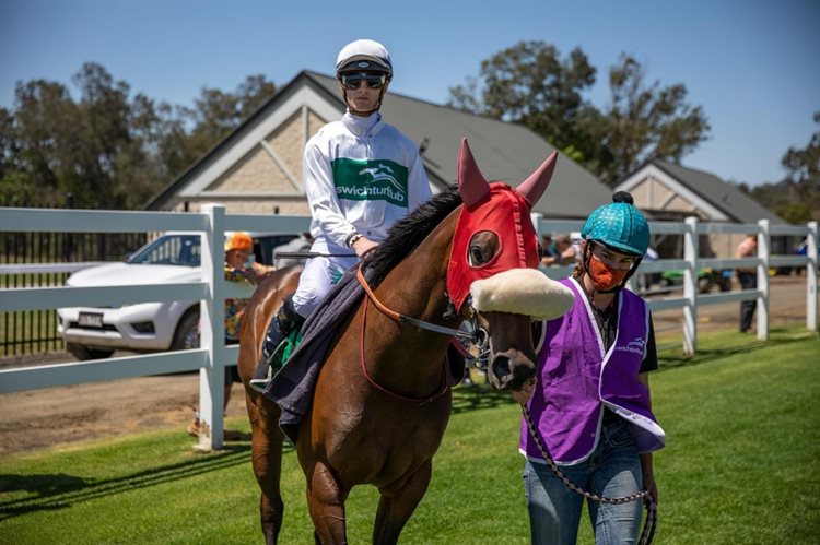 Danielle Jones lead a horse at Ipswich