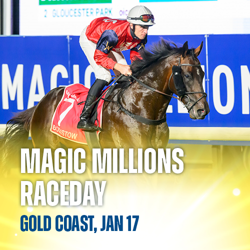 Promotional image for Magic Millions Raceday at the Gold Coast on January 17, featuring the horse Bosustow