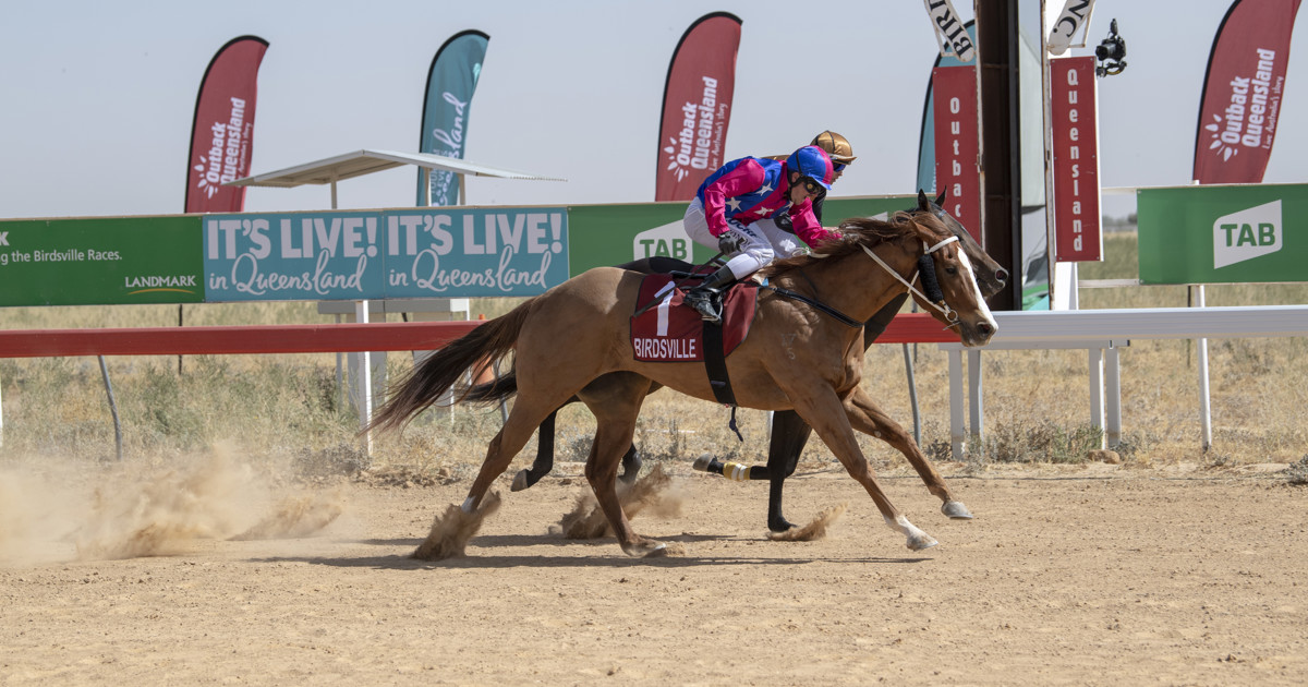 Streaming for non-TAB racing has arrived :: Racing Queensland