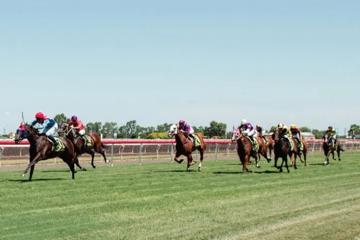 Dalby Rugby Race Day