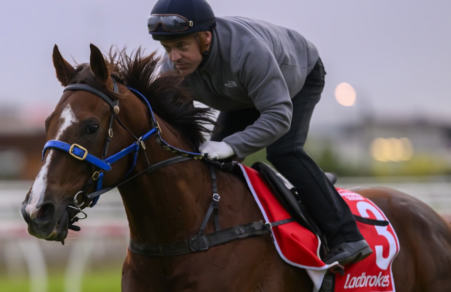 Ryan Maloney, who has tasted Group 1 success for Maher previously, will ride Another Wil.