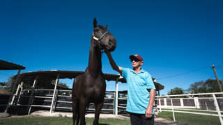 Townsville flyer Roweiner's Dance bids for first away win