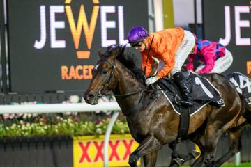 Queensland Jewel Raceday 2026