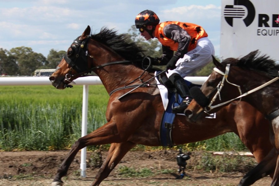 Simon Grimson and Paul Hamblin after the win from Gandalf. Pictures: Warra Race Club.