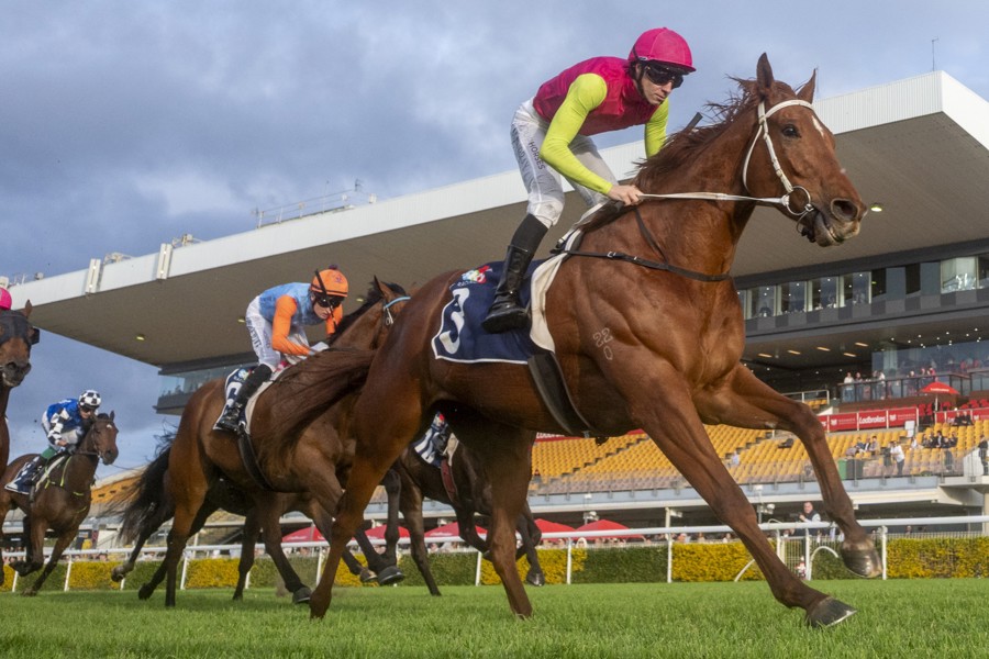 Talented apprentice jockey Jace McMurray won on Esjay at Doomben in the middle of July