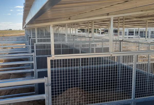 Julia Creek Turf Club