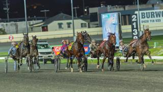 Stars step forward ahead of Queensland Constellations