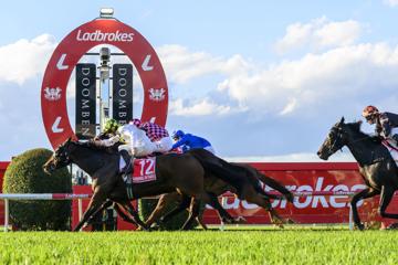 Doomben 10,000