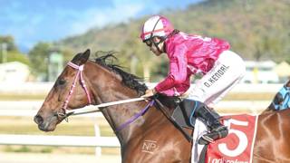 McGuire hopes to go nuclear for Townsville Cup