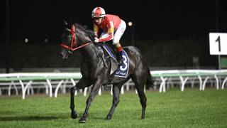 Taplin pencils in ambitious winter plans for Quit 'N' Tap