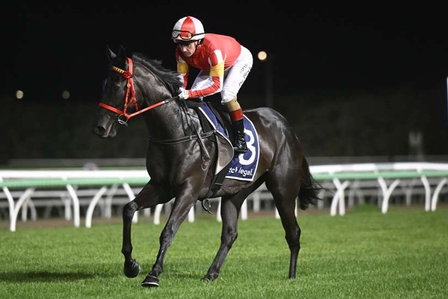Quit 'N' Tap Kerry Taplin Mark Du Plessis
