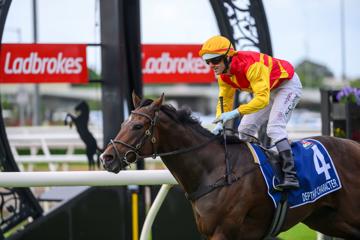 Guineas Day