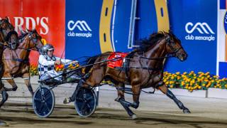 Queensland superstars set to storm New Zealand after Miracle Mile domination