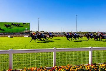 Doomben Melbourne Cup Day