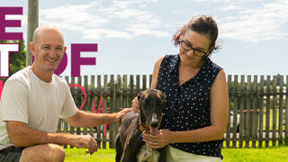 Hara's Esme enjoying the quiet life in retirement