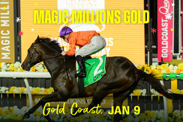 Magic Millions Gold