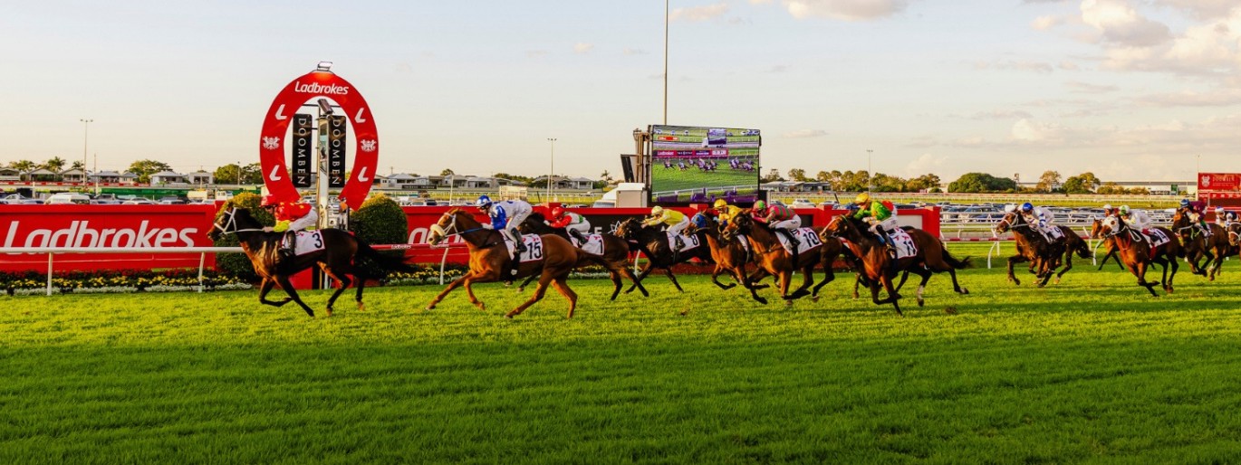 Quality Party Christmas Party Raceday :: Racing Queensland