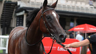 Gollan hopeful Pembrey can overcome barrier