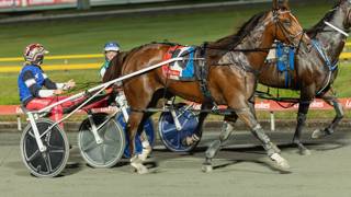 Pacing for Pink returns in 2026